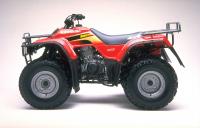 picture of recalled ATV