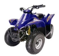 picture of recalled atv