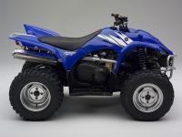 Picture of Recalled Wolverine 450 All-Terrain Vehicle