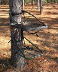 Picture of Recalled Treestand