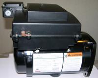 Picture of recalled pool pump motor