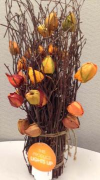 Picture of TJX Recalls Autumn 2013 Gardeners Eden Light-Up Decorations Due to Fire Hazard; Sold exclusively at T.J. Maxx, Marshalls and HomeGoods Stores