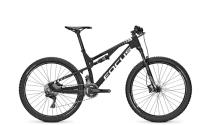 Picture of Focus Bicycles Recalls Spine Bicycles Due to Fall Hazard (Recall Alert)