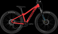 Picture of Norco Bicycles Recalls Children's Bicycles Due to Fall Hazard