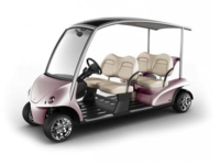 Picture of Garia Recalls Golf & Courtesy Electric Vehicles Due to Fire Hazard