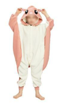 Picture of NewCosplay Children's Sleepwear Recalled Due to Violation of Federal Flammability Standards and Burn Hazard; Imported by Shanghai Xunao Elevator; Sold Exclusively at Amazon.com