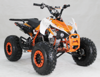 Picture of EGL Motor Recalls ACE-branded Youth All-Terrain Vehicles (ATVs) Due to Violation of Federal ATV Safety Standard; Risk of Serious Injury or Death