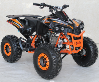 Picture of EGL Motor Recalls ACE-branded Youth All-Terrain Vehicles (ATVs) Due to Violation of Federal ATV Safety Standard; Risk of Serious Injury or Death
