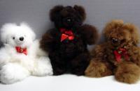 Picture of Recalled Bears