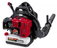 Picture of Recalled Backpack Blower