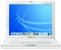 Picture of iBook Computer