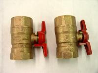 Picture of Recalled Valves