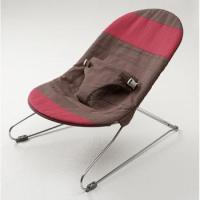 Picture of Recalled Infant Bouncer Seat