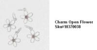 Picture of Recalled Charm Open Flower SKU# 10370038