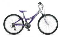 Picture of Model MT220 - Years 2005 and 2006 Recalled Girls Bicycle