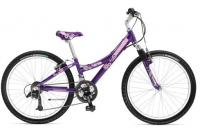 Picture of Model MT220 - Years 2007 Recalled Girls Bicycle