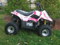 Picture of Recalled All-Terrain Vehicles (ATVs)