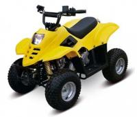 Picture of Recalled Youth Model ATV
