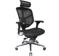 Picture of Recalled Mesh Chair with Headrest