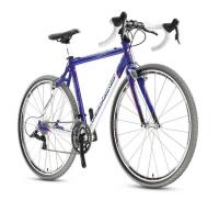 Picture of Recalled Bicycle and Frameset