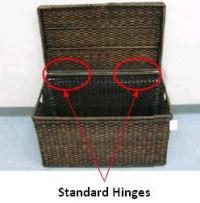 Picture of Recalled Storage Trunk Showing Standard Hinges