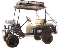 Picture of Recalled Classic Buggy