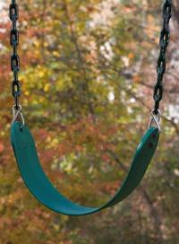 Picture of recalled Oasis playset swing seat
