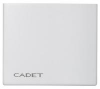 Picture of recalled Cadet thermostat front