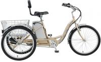 Picture of recalled adult tricycle model EZ-TRY-SD