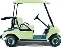 Picture of recalled DS Gas Golf Car (AG)