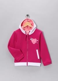 Picture of Deezo Childrenâ€™s Hooded Sweatshirts with Drawstrings Recalled by Zulily Due to Strangulation Hazard