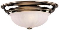 Picture of Ceiling-Mounted Light Fixtures Recalled by Dolan Designs Due to Fire and Shock Hazards