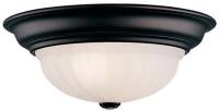 Picture of Ceiling-Mounted Light Fixtures Recalled by Dolan Designs Due to Fire and Shock Hazards