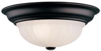 Picture of Ceiling-Mounted Light Fixtures Recalled by Dolan Designs Due to Fire and Shock Hazards