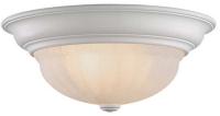 Picture of Ceiling-Mounted Light Fixtures Recalled by Dolan Designs Due to Fire and Shock Hazards