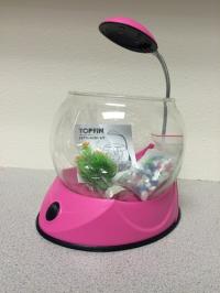 Picture of PetSmart Recalls Top Fin Betta Bowl Kits Due to Laceration Hazard