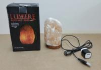 Picture of Michaels Recalls Rock Salt Lamps Due to Shock and Fire Hazards