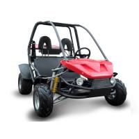 Picture of Hammerhead Off-Road Recalls Fun-Karts Due to Fuel Leak and Fire Hazards (Recall Alert)