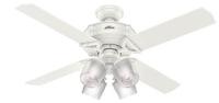 Picture of Hunter Fan Recalls Brunswick Three and Four Light Ceiling Fans Due to Shock Hazard