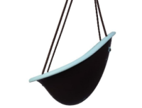 Picture of Flybar Recalls Swurfer Baby and Toddler Swings Due to Fall Hazard