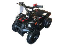 Picture of Luyuan Recalls Youth All-Terrain Vehicles (ATVs) Due to Crash Hazard and Violation of Federal ATV Safety Standard