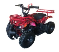 Picture of Luyuan Recalls Youth All-Terrain Vehicles (ATVs) Due to Crash Hazard and Violation of Federal ATV Safety Standard