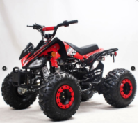 Picture of CRT Motor Recalls Youth All-Terrain Vehicles (ATVs) Due to Crash Hazard and Violation of Federal Safety Standard; Sold Exclusively at Motor Planet