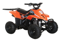 Picture of EGL Motor Recalls Youth All-Terrain Vehicles (ATVs) Due to Injury Hazard and Violation of Federal ATV Safety Standard