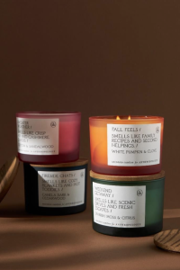 Picture of Anecdote Candles Recalls Double-Wick Autumn Candles Due to Fire and Laceration Hazards; Sold Exclusively at Anthropologie