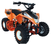 Picture of EGL Motor Recalls EGL and ACE-branded Youth All-Terrain Vehicles (ATVs) Due to Violations of Federal ATV Safety Standard; Risk of Serious Injury or Death