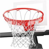 Picture of SpaldingÂ® Momentous EZ Portable Basketball Goals Recalled by Russell Brands Due to Impact Injury Hazard