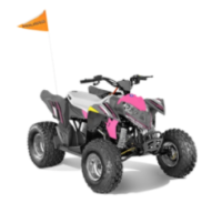 Picture of Polaris Recalls Youth All-Terrain Vehicles Due to Fire Hazard (Recall Alert)
