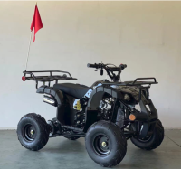 Picture of Ricky Powersports Recalls Youth All-Terrain Vehicles (ATVs) Due to Violation of Federal ATV Safety Standard; Risk of Serious Injury or Death