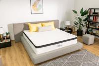 Picture of Nap Queen Maxima Hybrid Mattresses Recalled by Adven Group Due to Fire Hazard; Violation of Federal Flammability Standard